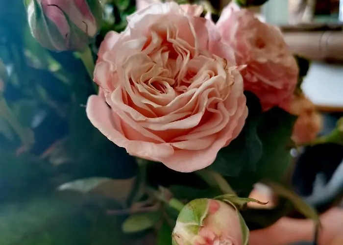 Couette-café La Maison De 3*